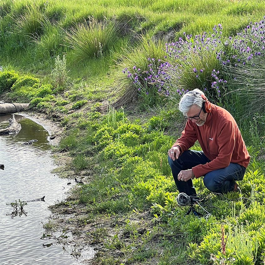 Will-Rogers-Audio-Artist